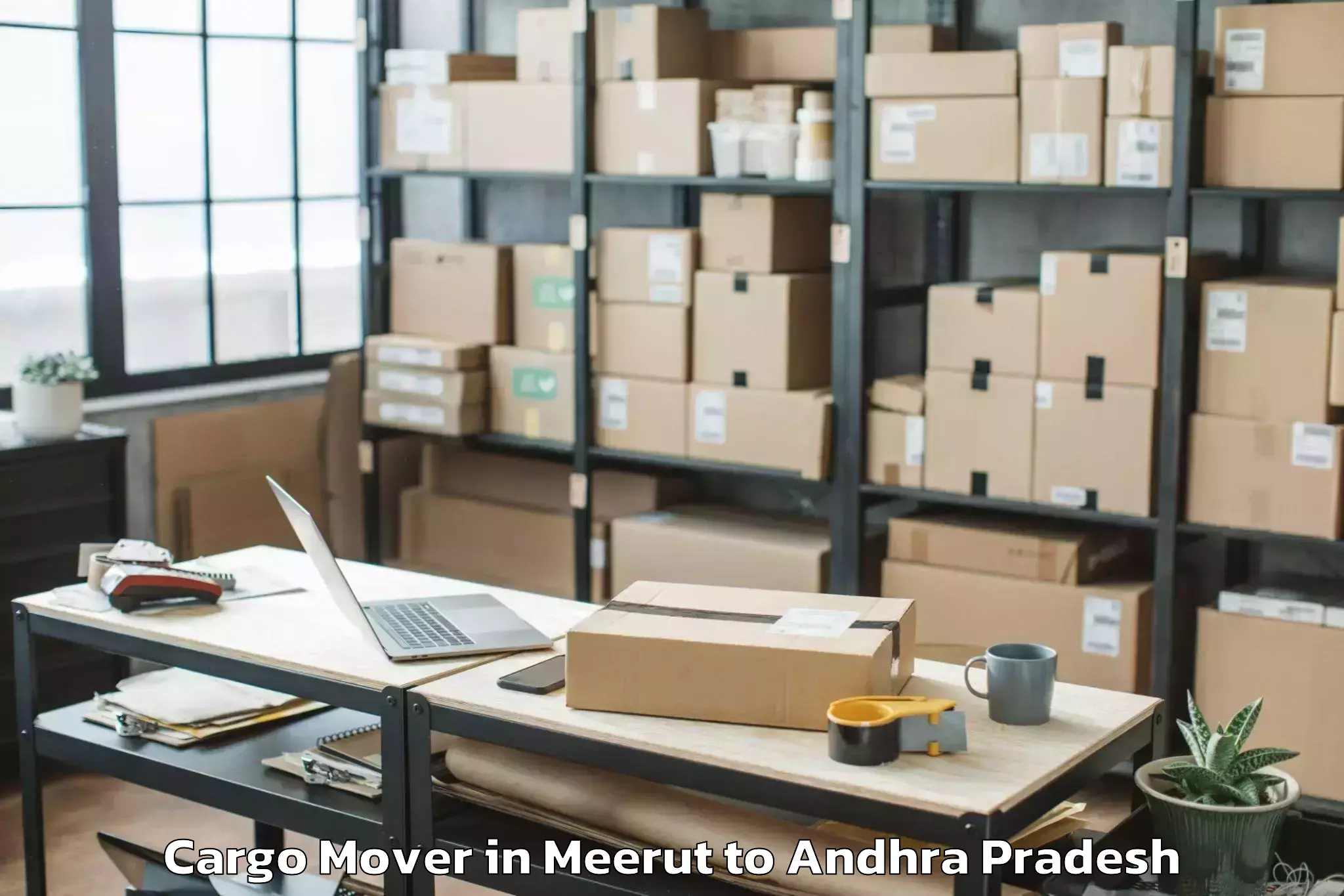 Book Meerut to Ongole Cargo Mover Online